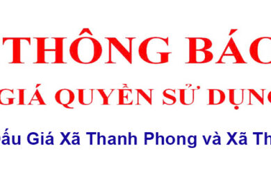 Khu đấu giá Thanh Phong và Thanh Hà